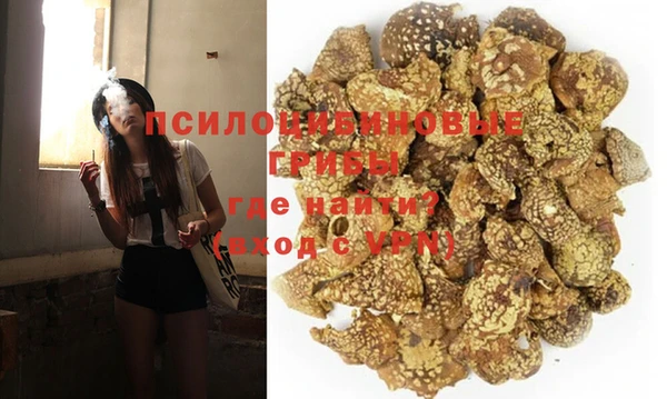 гидропоника Алзамай