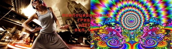 гидропоника Алзамай