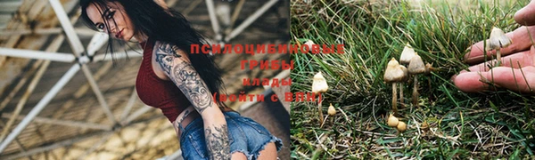 молекула духа Алексин