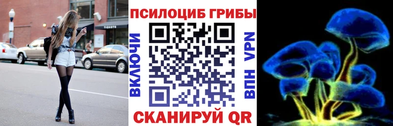 Псилоцибиновые грибы GOLDEN TEACHER  Гвардейск 